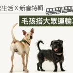 event_一起生活節 毛孩搭大眾運輸攻略