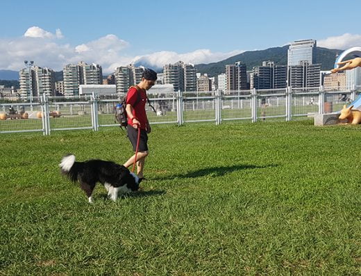 台北松山寵物友善景點-迎風狗運動公園