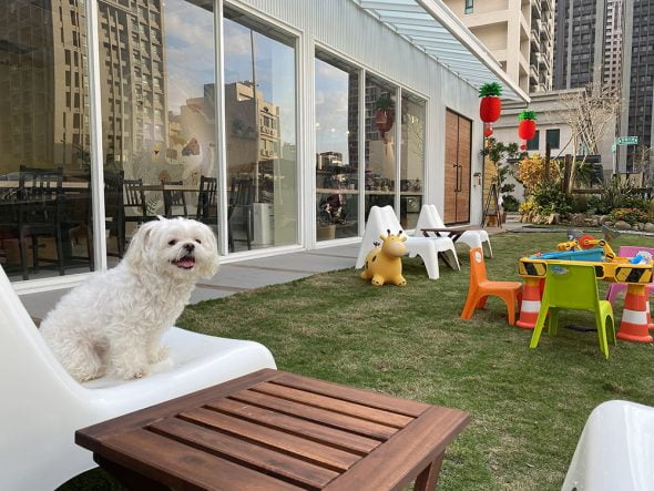 新竹竹北寵物友善餐廳-Bonjour Cheby 蹦啾柴比友善早午餐