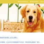 2020寵物食品不是藥品，小心宣稱療效觸法