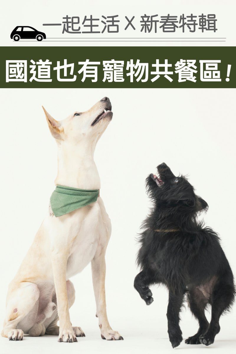 petsyoyo寵新聞-全台寵物友善的國道服務區​寵物共餐 一起生活新春特輯