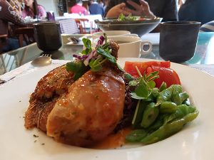 petsyoyo寵遊網-新北三芝2號倉庫咖啡館