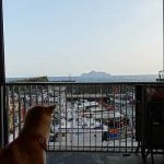 宜蘭寵物友善景點-大溪觀光漁港_Yu Ching提供