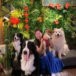 桃園寵物友善餐廳_食・光機_Yu Ching提供