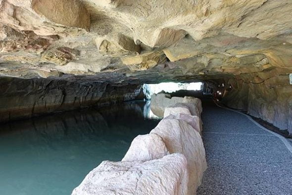 宜蘭寵物友善景點-冬山河生態綠舟_Yu Ching提供