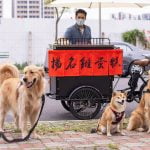台中寵物友善美食-揚名雞蛋糕_小珊珊提供