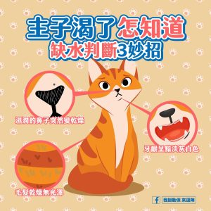 我挺動保 來逗陣-主子你渴了怎知道,缺水判斷3妙招