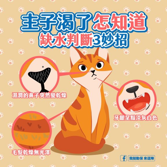 我挺動保 來逗陣-主子你渴了怎知道，缺水判斷3妙招