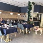 台中寵物友善餐廳-77‘s Bistro&bar_米克斯菲菲的走跳日記提供