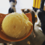 北投寵物友善餐廳_正當冰_Paw-Dreamer提供
