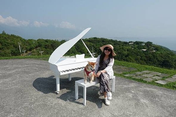 花蓮寵物友善景點-花蓮最美秘境景觀玻璃屋_Yu Ching提供