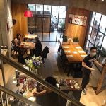 台中寵寵物友善餐廳-春三朝午-TreeSun_米克斯菲菲的走跳日記提供