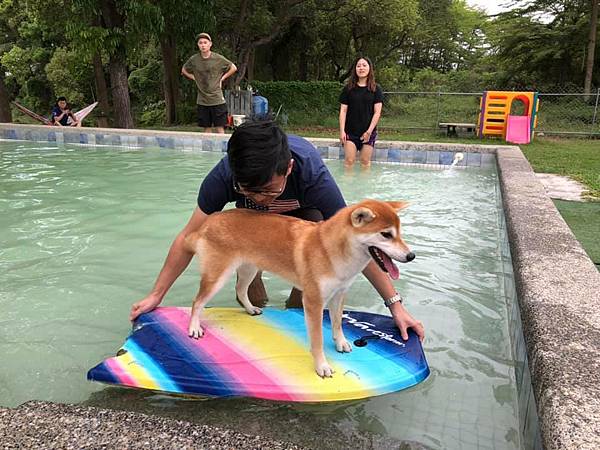 台南寵物友善景點-巴吉划水寵物泳池_Yu Ching提供