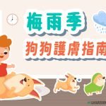 梅雨季-狗狗護膚指南