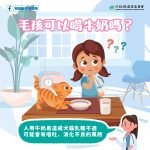 毛孩可以喝牛奶嗎
