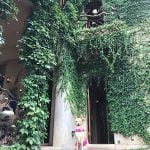 petsyoyo寵遊網-苗栗大湖寵物友善餐廳-天空之城_米克斯菲菲的走跳日記提供