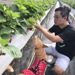 苗栗寵物友善景點-慶豐高架草莓_米克斯菲菲的走跳日記提供