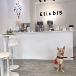 台中寵物友善餐廳-EliubiS 愛留彼此_米克斯菲菲的走跳日記提供
