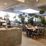 台中北屯寵物友善餐廳-JAI宅-水湳店_米克斯菲菲的走跳日記提供