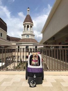 台中寵物友善景點-麗寶OUTLET MALL景點_米克斯菲菲的走跳日記