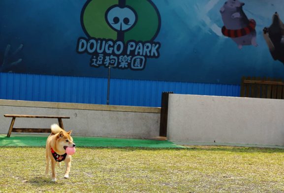 台中寵物友善景點-逗狗寵物樂園-烏日店_小珊珊提供