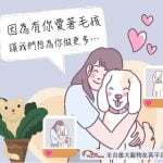 寵遊網改版2.0