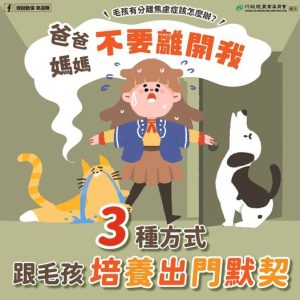 家裡毛孩每天難分難捨