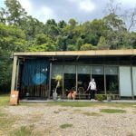 【新竹寵物友善餐廳】大家珈琲所
