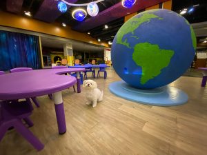 小墾丁渡假村獨棟木屋寵物住宿專案