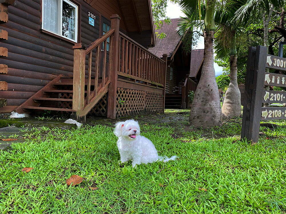 小墾丁渡假村獨棟木屋寵物住宿專案