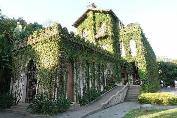 petsyoyo寵遊網-苗栗大湖寵物友善餐廳-天空之城_米克斯菲菲的走跳日記提供