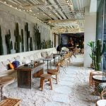 台北信義寵物友善餐廳-海灘叢林 A Beach餐酒館_Yu Ching提供