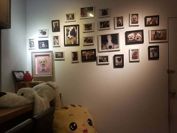 台北大安區寵物友善餐廳-It's You 意思屋