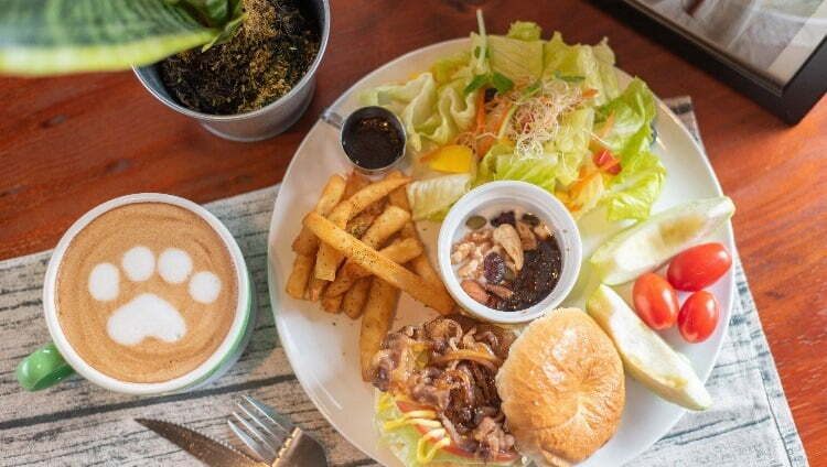 petsyoyo寵遊網-樂多廚房