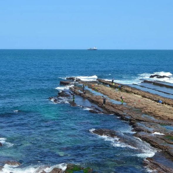 petsyoyo寵遊網-基隆中山寵物友善景點-外木山 IG-film_moment2022提供