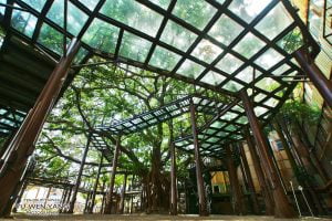 台南寵物友善景點 十鼓仁糖文創園區