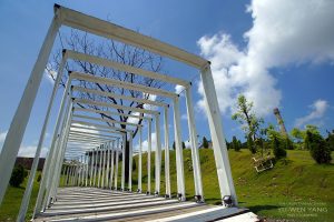 台南寵物友善景點 十鼓仁糖文創園區