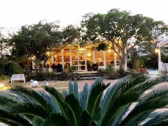 petsyoyo寵遊網-屏東恆春寵物友善餐廳 象廚泰緬式料理