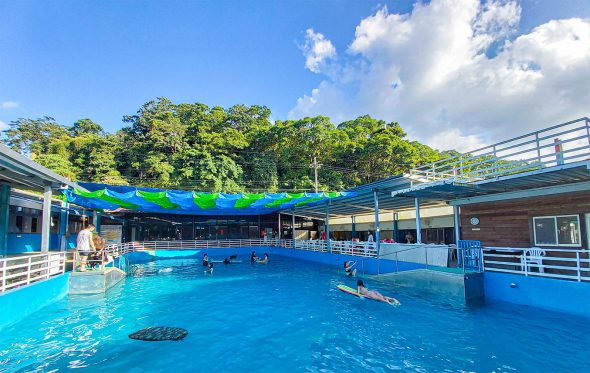 petsyoyo寵遊網-新北新店寵物游泳池 Gooddog妙狗寵物游泳池