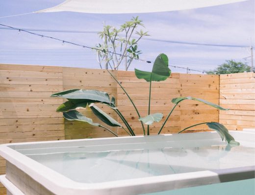 墾丁寵物VILLA-獒游邊境