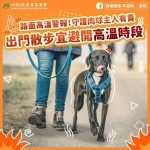 地板高溫警報！狗狗的肉球要注意