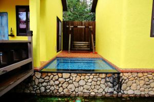 petsyoyo寵遊網-屏東寵物友善餐廳-墾丁牧場Villa民宿 小珊珊提供