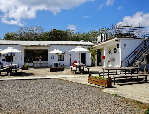 大可茶鴨蛋 • 港口茶 Duck Dan