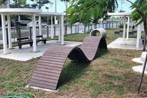 高雄苓雅寵物友善景點-高雄狗狗運動公園 高市養工處提供