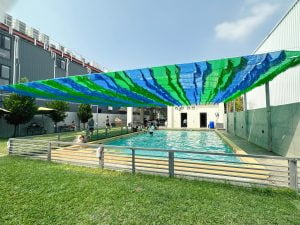 台南寵物友善餐廳-派特寵物友善餐廳_查理士小獵犬提供