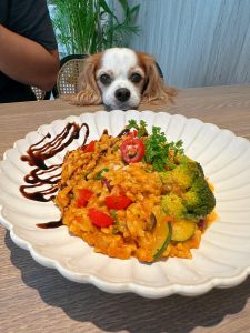 台南寵物友善餐廳-派特寵物友善餐廳_查理士小獵犬提供