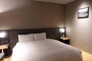 petsyoyo寵遊網-嘉義寵物友善住宿 嘉義觀止 Yu Ching提供