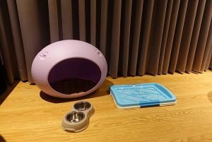 petsyoyo寵遊網-嘉義寵物友善住宿 嘉義觀止 Yu Ching提供