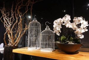 petsyoyo寵遊網-嘉義寵物友善住宿 嘉義觀止 Yu Ching提供