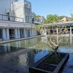 大溪老茶廠 桃園寵物友善景點 Yu Ching提供